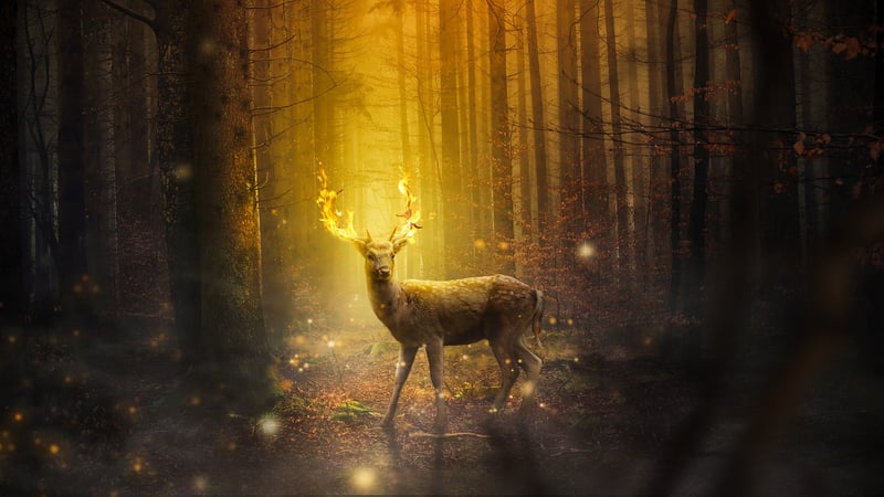 Enchanted creatures